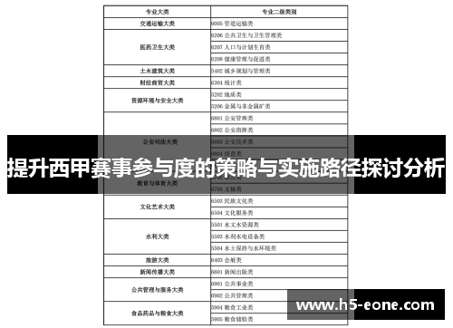 提升西甲赛事参与度的策略与实施路径探讨分析