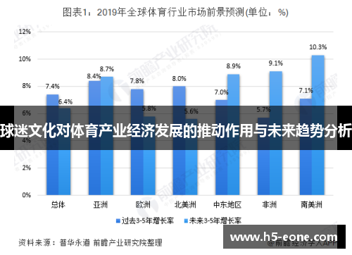 球迷文化对体育产业经济发展的推动作用与未来趋势分析