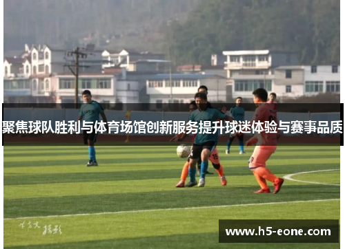 聚焦球队胜利与体育场馆创新服务提升球迷体验与赛事品质