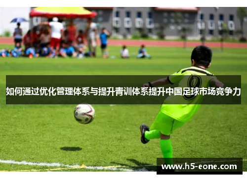 如何通过优化管理体系与提升青训体系提升中国足球市场竞争力