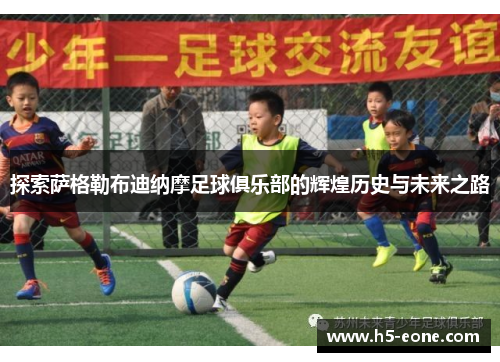 探索萨格勒布迪纳摩足球俱乐部的辉煌历史与未来之路
