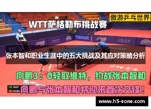 张本智和职业生涯中的五大挑战及其应对策略分析