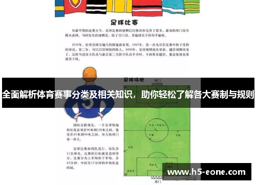 全面解析体育赛事分类及相关知识，助你轻松了解各大赛制与规则