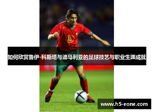 如何欣赏鲁伊-科斯塔与迪马利亚的足球技艺与职业生涯成就