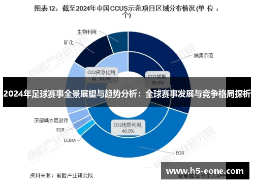 2024年足球赛事全景展望与趋势分析：全球赛事发展与竞争格局探析