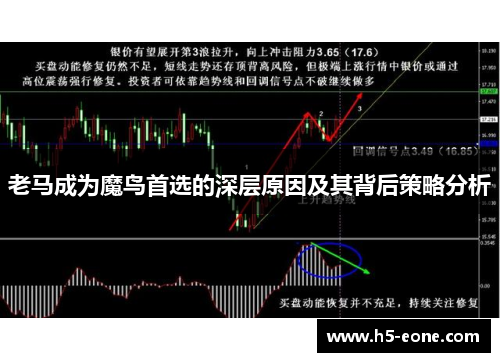 老马成为魔鸟首选的深层原因及其背后策略分析