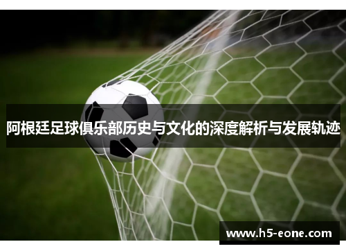 阿根廷足球俱乐部历史与文化的深度解析与发展轨迹