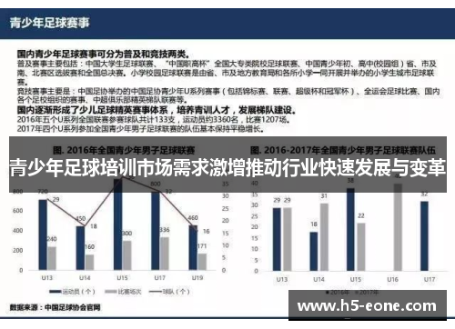 青少年足球培训市场需求激增推动行业快速发展与变革